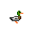 Duck.png